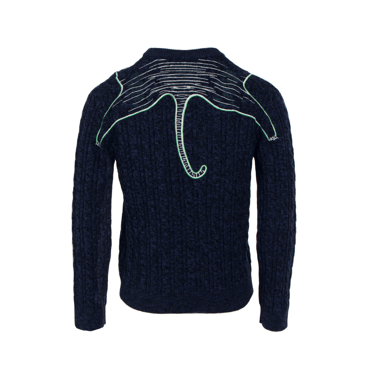 Claw Tiger Wool Jumper